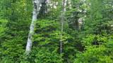 ON Doland Rd - Photo 11