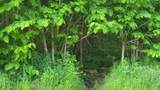 ON Doland Rd - Photo 8