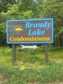 300 Brandy Point Dr - Photo 48