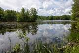 N8981 Island Rd - Photo 33