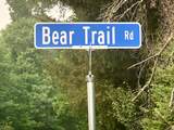 28 Acres Bear Trl - Photo 10