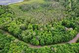 28 Acres Bear Trl - Photo 6