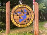 28 Acres Bear Trl - Photo 8