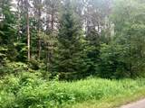 28 Acres Bear Trl - Photo 9