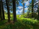 3 Acres Timbering Haven Dr - Photo 2