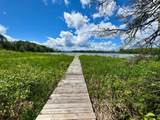 3 Acres Timbering Haven Dr - Photo 3
