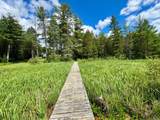 3 Acres Timbering Haven Dr - Photo 6