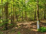 Lot 4 Stateline Lake Rd - Photo 10