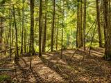 Lot 4 Stateline Lake Rd - Photo 11