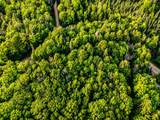 Lot 4 Stateline Lake Rd - Photo 14