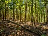 Lot 4 Stateline Lake Rd - Photo 15
