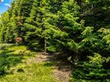 Lot 4 Stateline Lake Rd - Photo 3