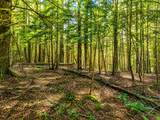 Lot 4 Stateline Lake Rd - Photo 5