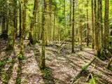 Lot 4 Stateline Lake Rd - Photo 6