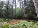 Lot 1 Watersmeet Lake Rd - Photo 2
