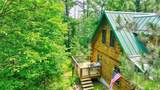 9146N Chippewa Pines Way - Photo 41