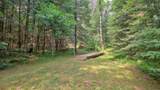 9146N Chippewa Pines Way - Photo 54