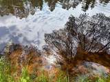 1529 Dam Rd - Photo 7