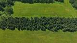 ON Hilmar Olson Rd - Photo 14