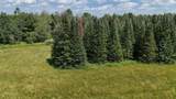 ON Hilmar Olson Rd - Photo 16