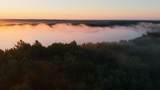 6540 Swamsauger Heights Rd - Photo 29