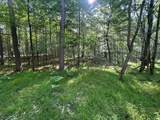1.68 Red Pine Cr - Photo 7
