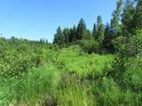 12030 Price Lake Rd - Photo 23