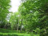 12030 Price Lake Rd - Photo 42