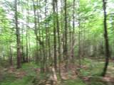 12030 Price Lake Rd - Photo 44