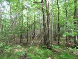 12030 Price Lake Rd - Photo 45