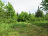 12030 Price Lake Rd - Photo 48