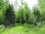 12030 Price Lake Rd - Photo 50