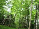 12030 Price Lake Rd - Photo 57