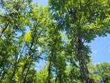 8244W Koeppler Rd - Photo 46