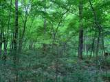 000 Summit Woods Ln - Photo 10