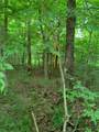 000 Summit Woods Ln - Photo 12