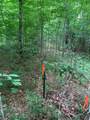 000 Summit Woods Ln - Photo 3