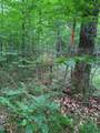 000 Summit Woods Ln - Photo 4