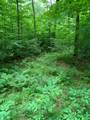 000 Summit Woods Ln - Photo 6