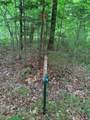 000 Summit Woods Ln - Photo 8
