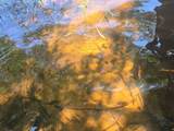 2268 River Rd - Photo 4