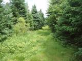 N16798 Bass Lake Rd - Photo 32