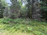 Lot 2 Watersmeet Lake Rd - Photo 3