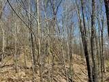 ON Skye Dr - Photo 28