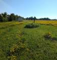 25920 Franzel Rd - Photo 11