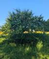 25920 Franzel Rd - Photo 22