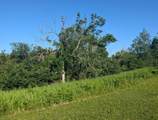 25920 Franzel Rd - Photo 24