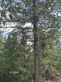 NEAR Cth Y - Photo 1
