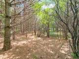 919 Park Ln - Photo 34
