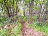 919 Park Ln - Photo 35